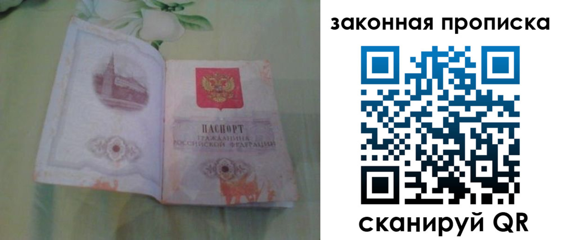 временная регистрация законно в Кингисеппе